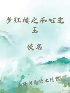 夢紅樓之癡心寵玉