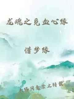 龍魂之覓血心緣
