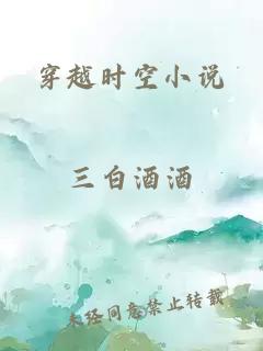 穿越時(shí)空小說