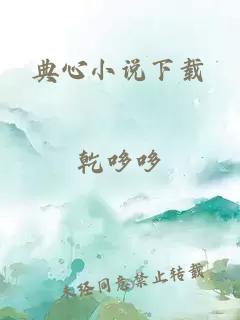典心小說下載