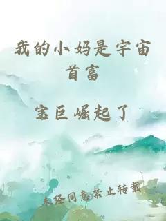 我的小媽是宇宙首富