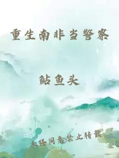 重生南非當警察