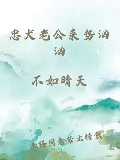 忠犬老公來勢洶洶